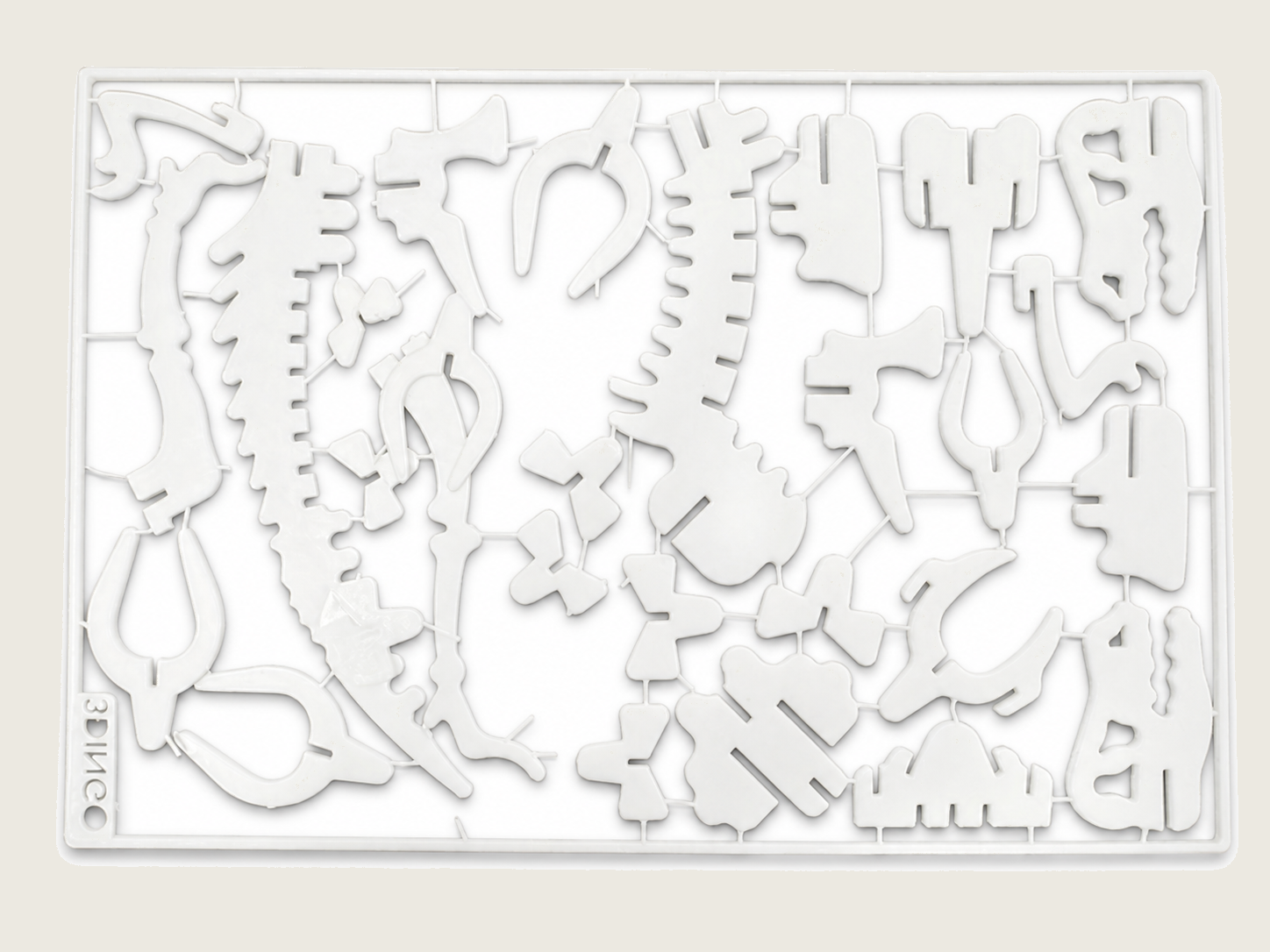 Detailed 3D printed T-Rex model